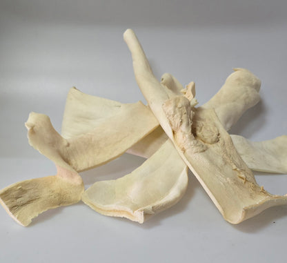 Kauwchips XL